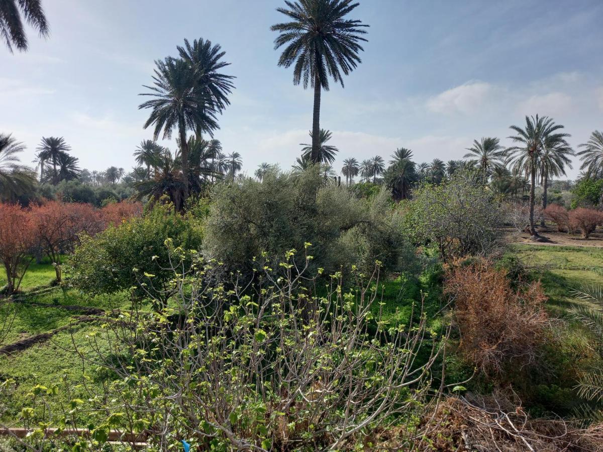 Dar Seddik Gafsa Exterior foto