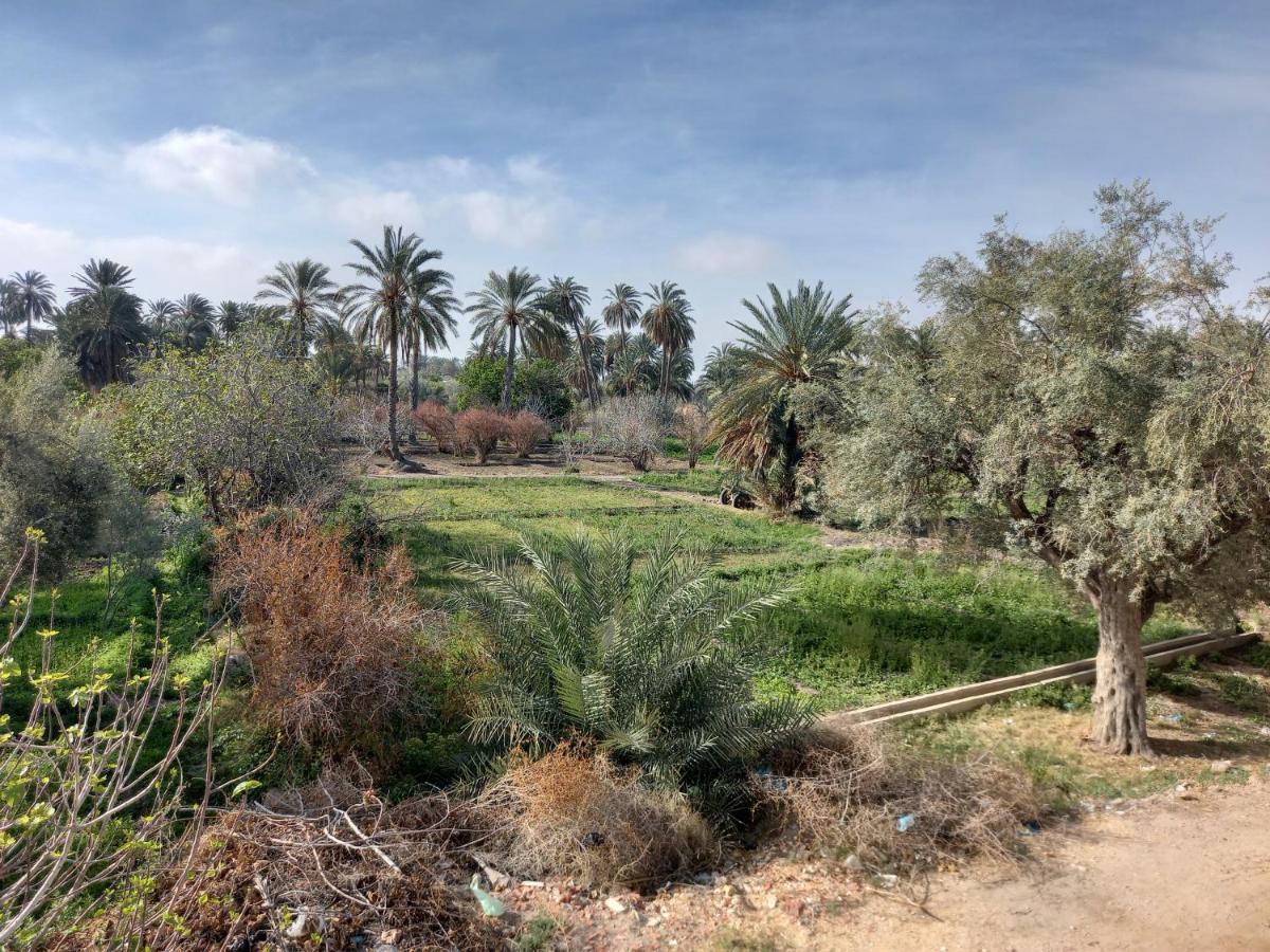 Dar Seddik Gafsa Exterior foto
